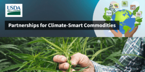 USDA Grant for Climate-Smart Fiber Hemp Research