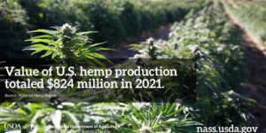 USDA Hemp Survey Results Demonstrate Production Decline