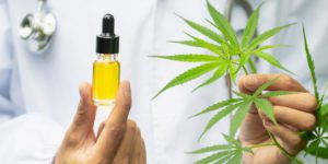 Clinical Study Reports No Evidence of Liver Toxicity in CBD