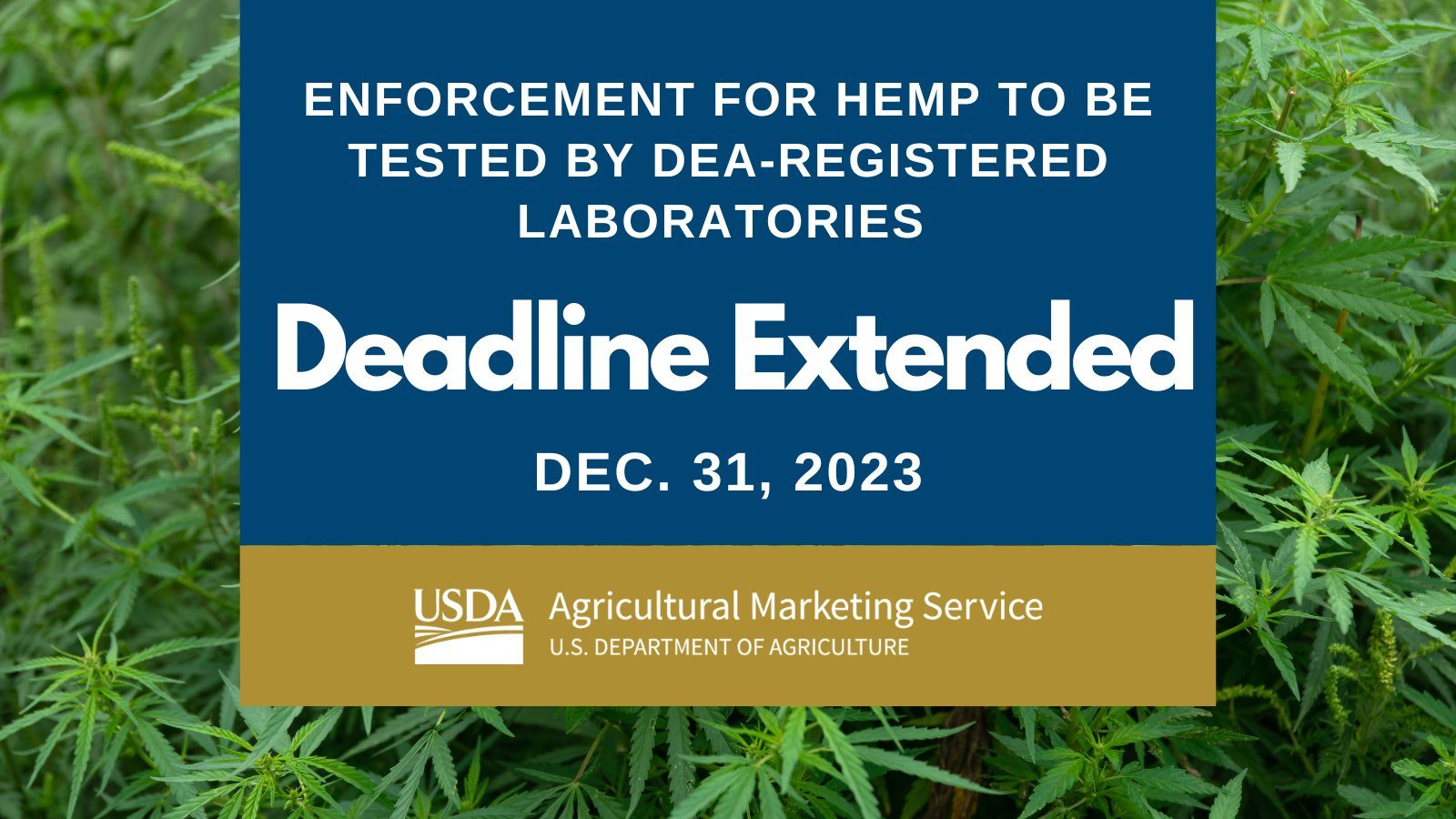 USDA Delays DEA-Registered Lab Requirement For Hemp Testing